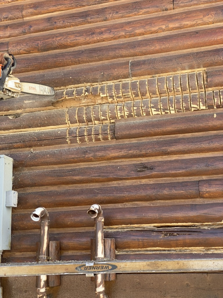 Chainsaw log cutting for rot repair on log home