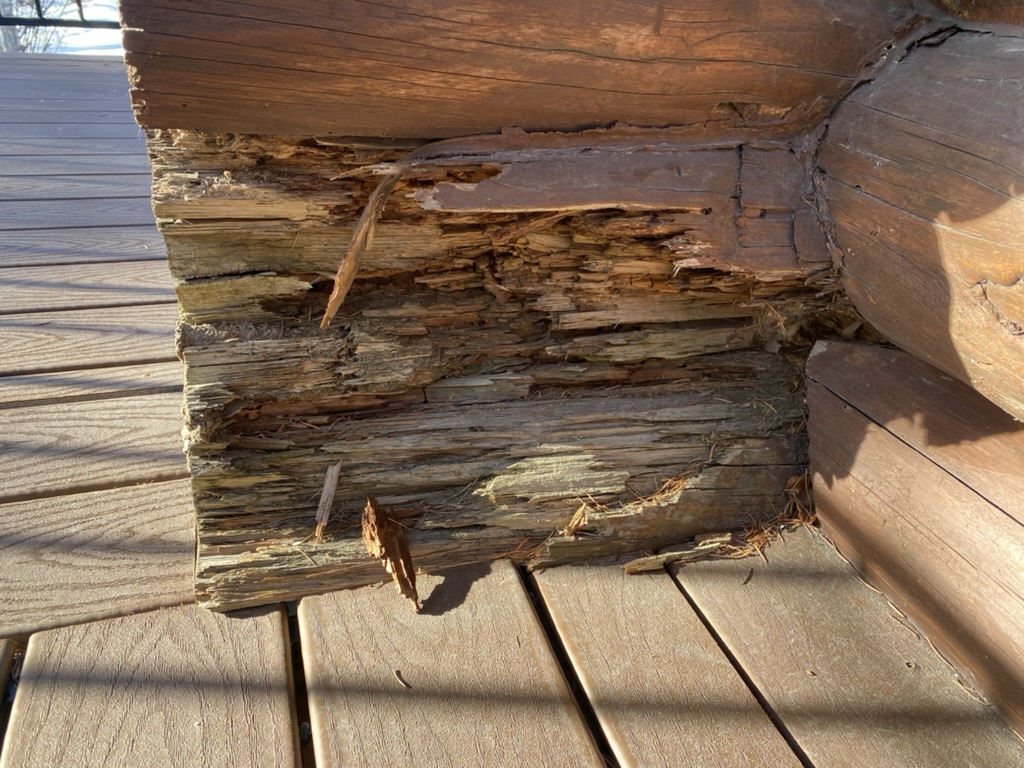 Severe log rot damage requiring repair